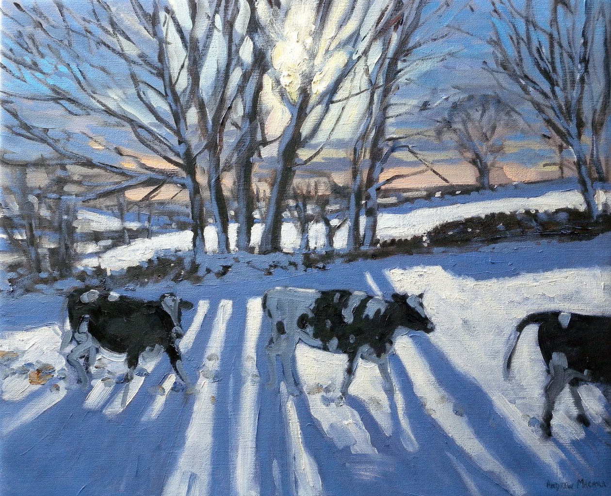 Friesian Cows，2009 作者 安德鲁·马卡拉（Andrew Macara）