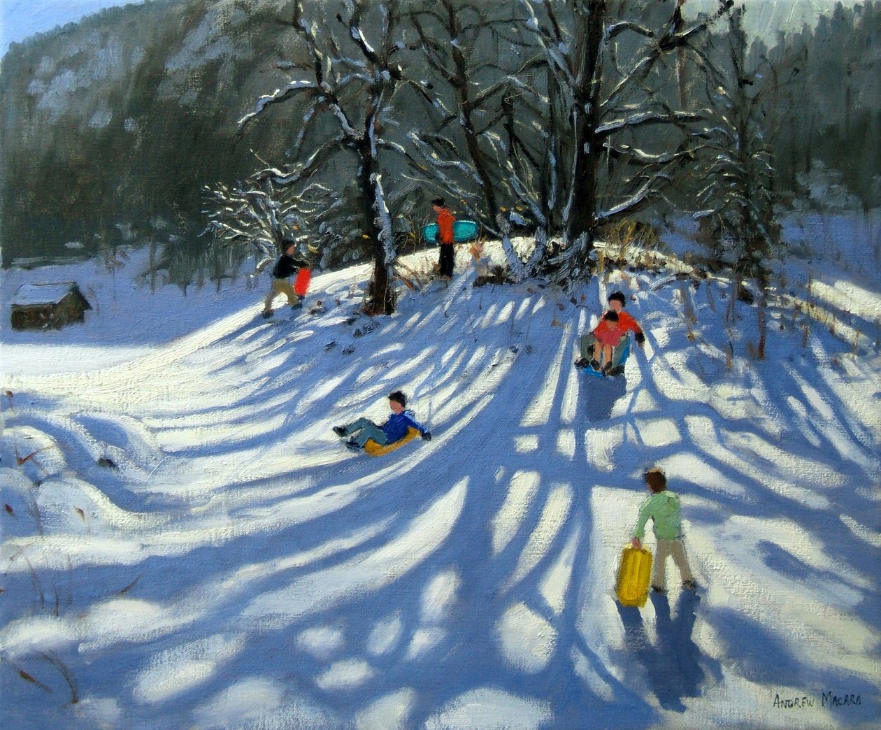 在法国莫尔济讷的雪地里玩耍 作者 安德鲁·马卡拉（Andrew Macara）