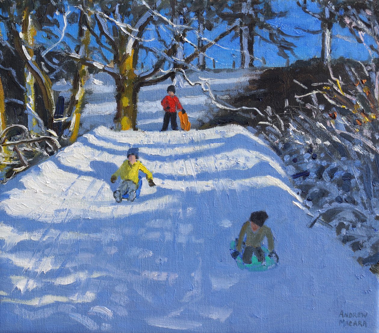 在雪地里玩耍，Wash Green，Derbyshire，2014， 作者 安德鲁·马卡拉（Andrew Macara）
