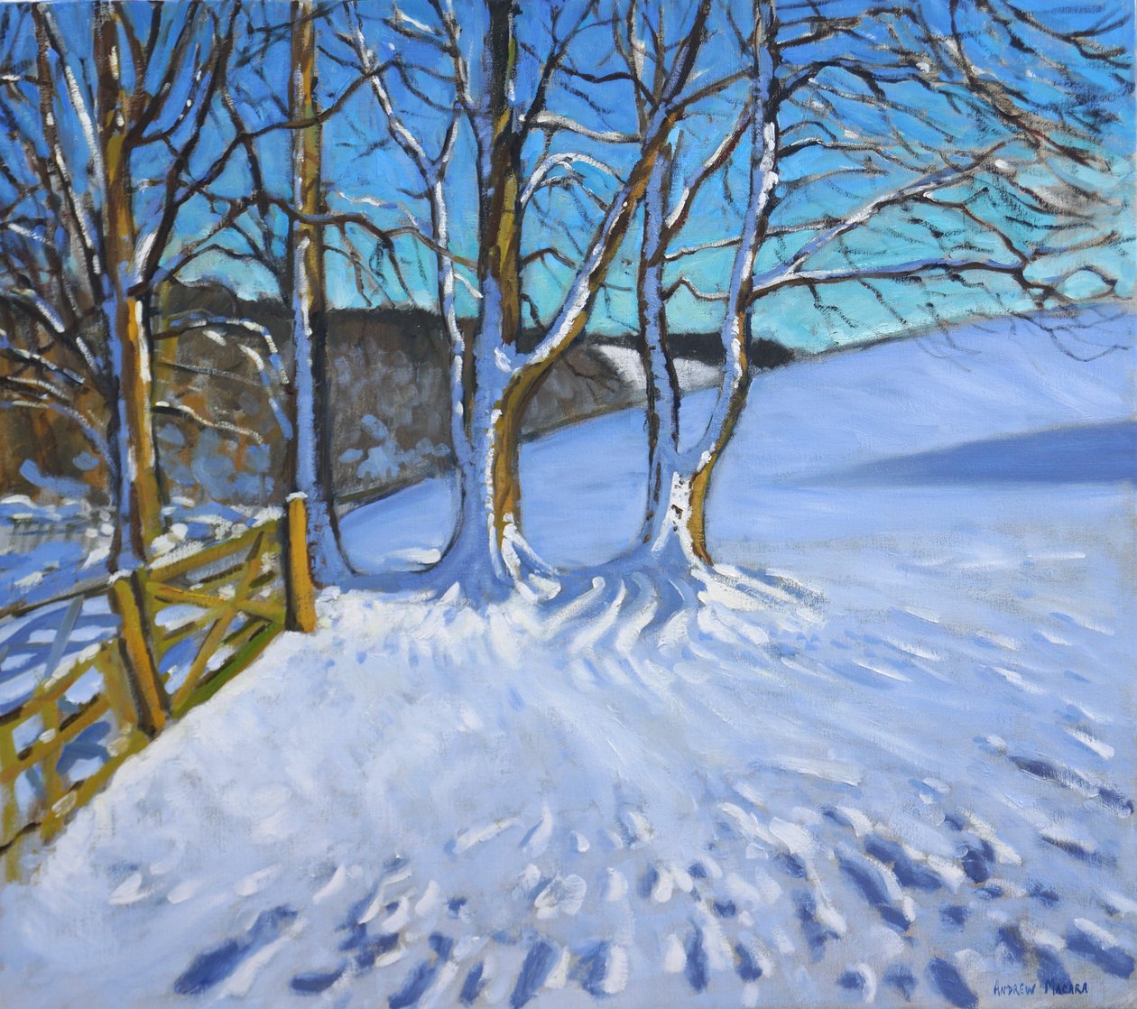 门和树木，冬季，水坝巷，德比郡，2013， 作者 安德鲁·马卡拉（Andrew Macara）