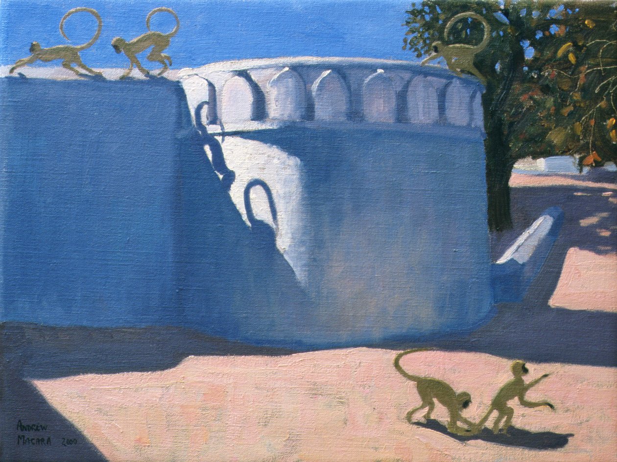 猴庙，印度，2000 作者 安德鲁·马卡拉（Andrew Macara）