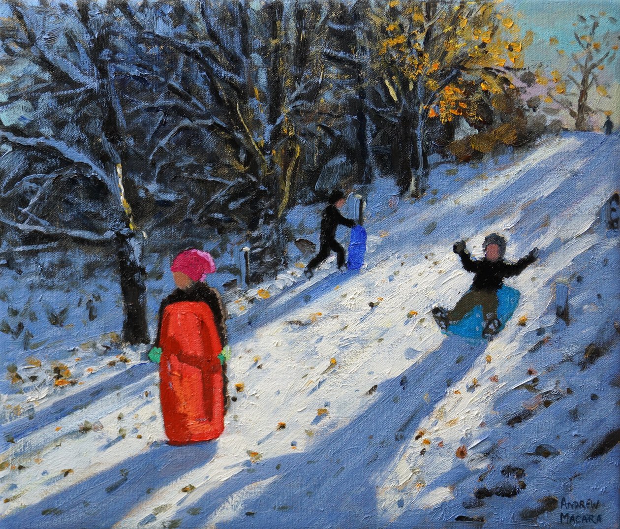 红色雪橇，Allestree Park Derby。 2014 作者 安德鲁·马卡拉（Andrew Macara）