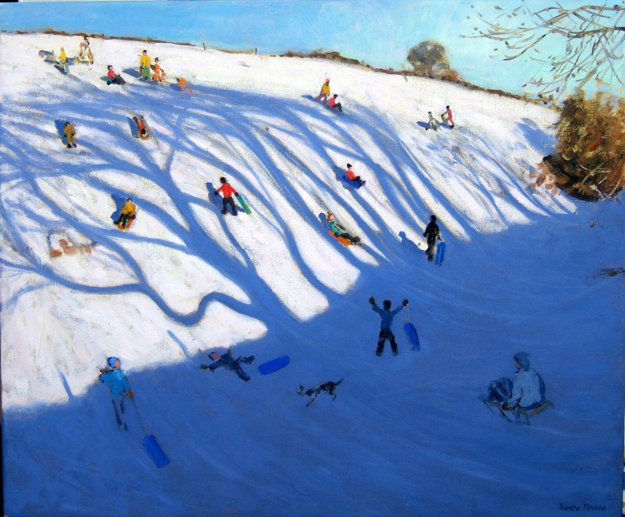 蒙尼亚什山上的阴影 作者 安德鲁·马卡拉（Andrew Macara）