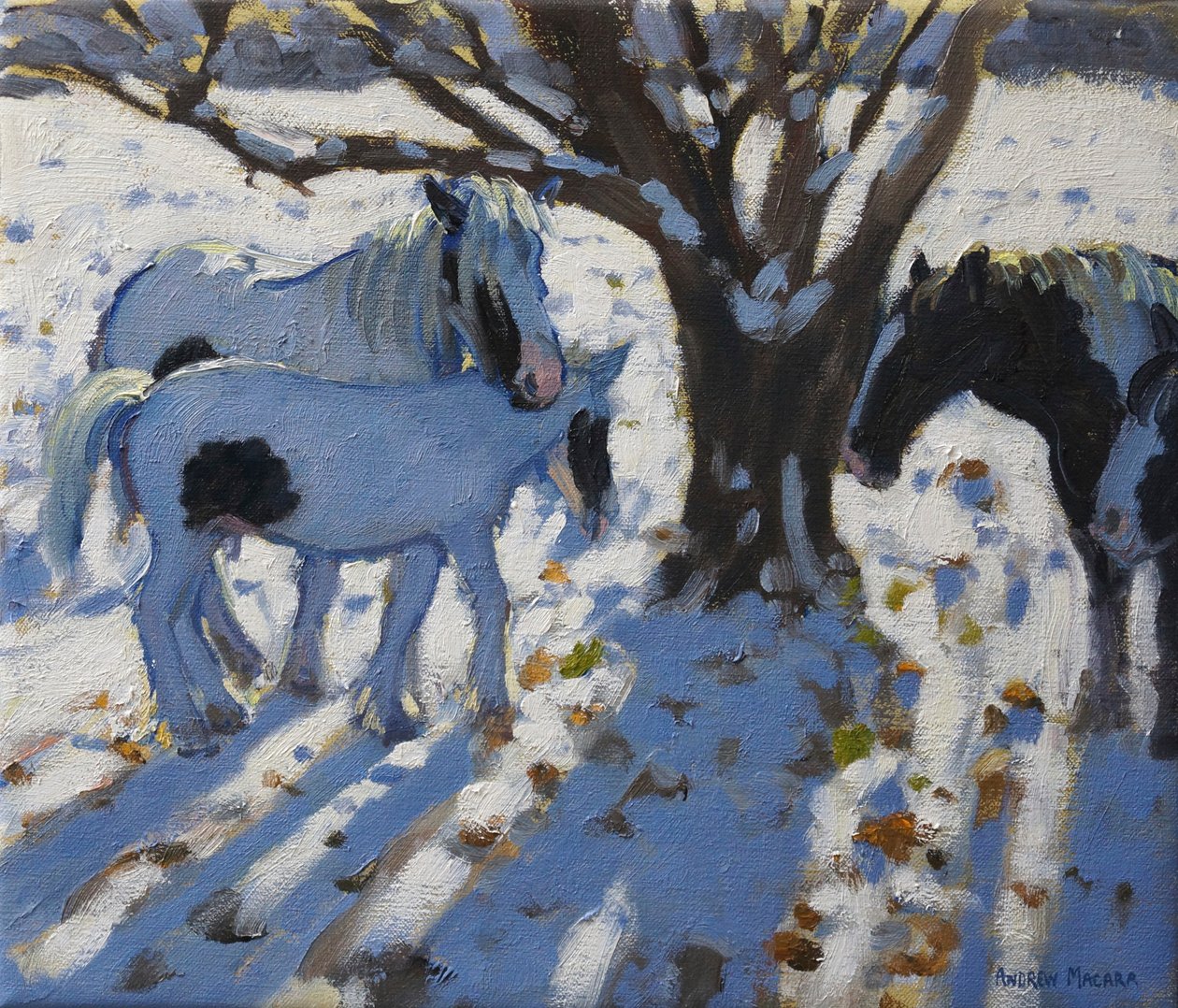 Skewbald小马在冬天，2012年 作者 安德鲁·马卡拉（Andrew Macara）