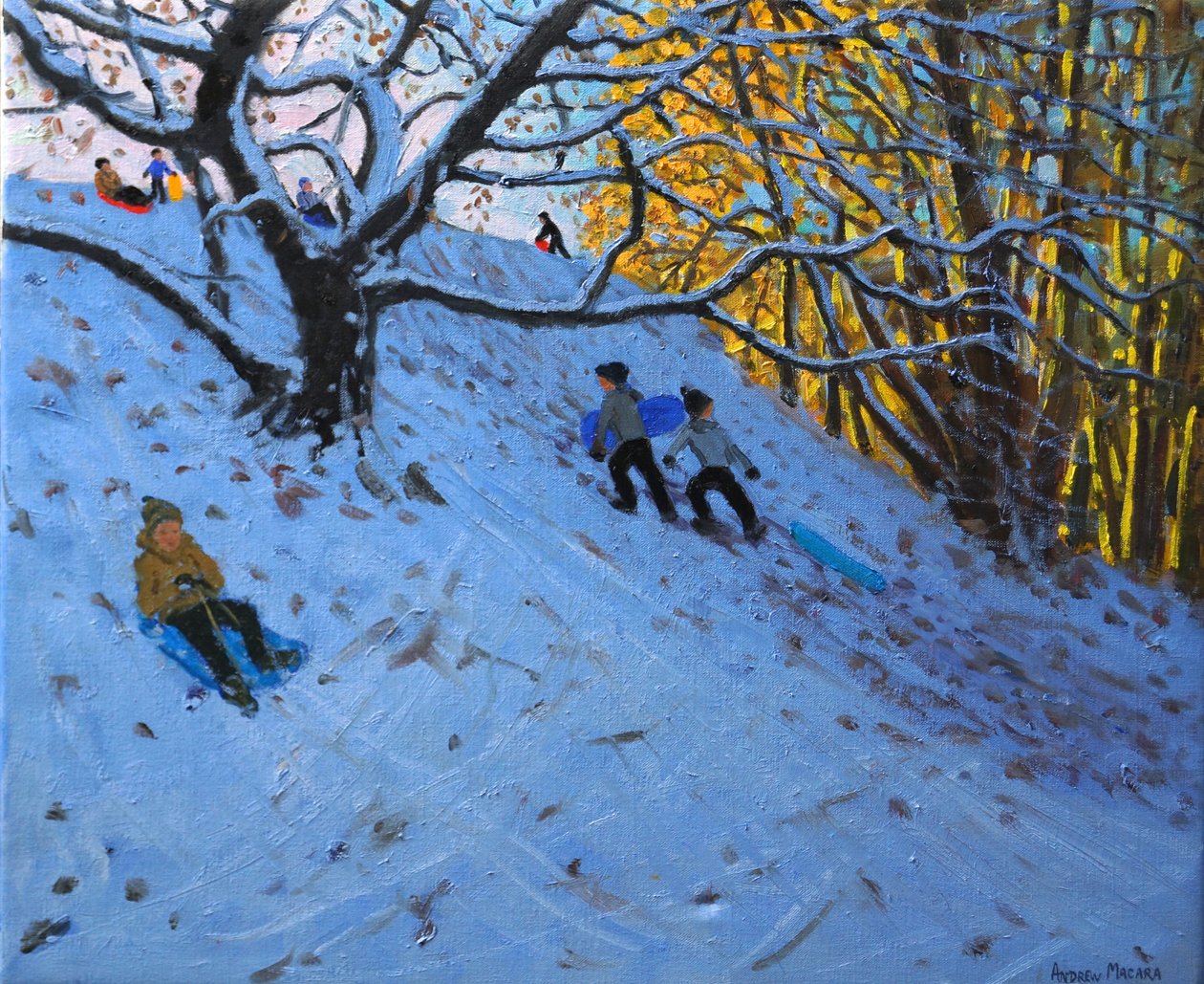 雪橇Allestree高尔夫球场（第3洞）2014 作者 安德鲁·马卡拉（Andrew Macara）