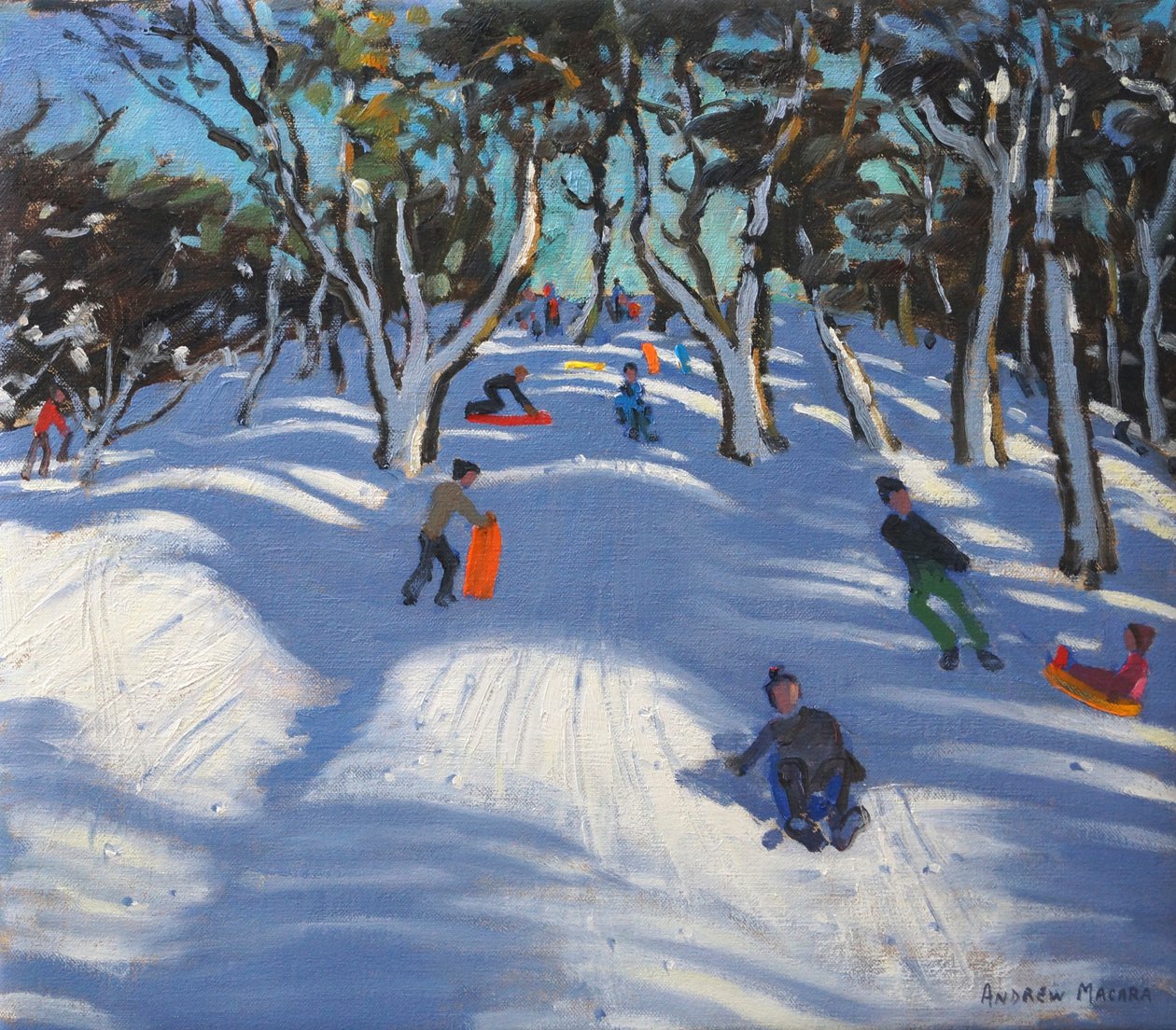2012年拉德曼洛拉雪橇 作者 安德鲁·马卡拉（Andrew Macara）