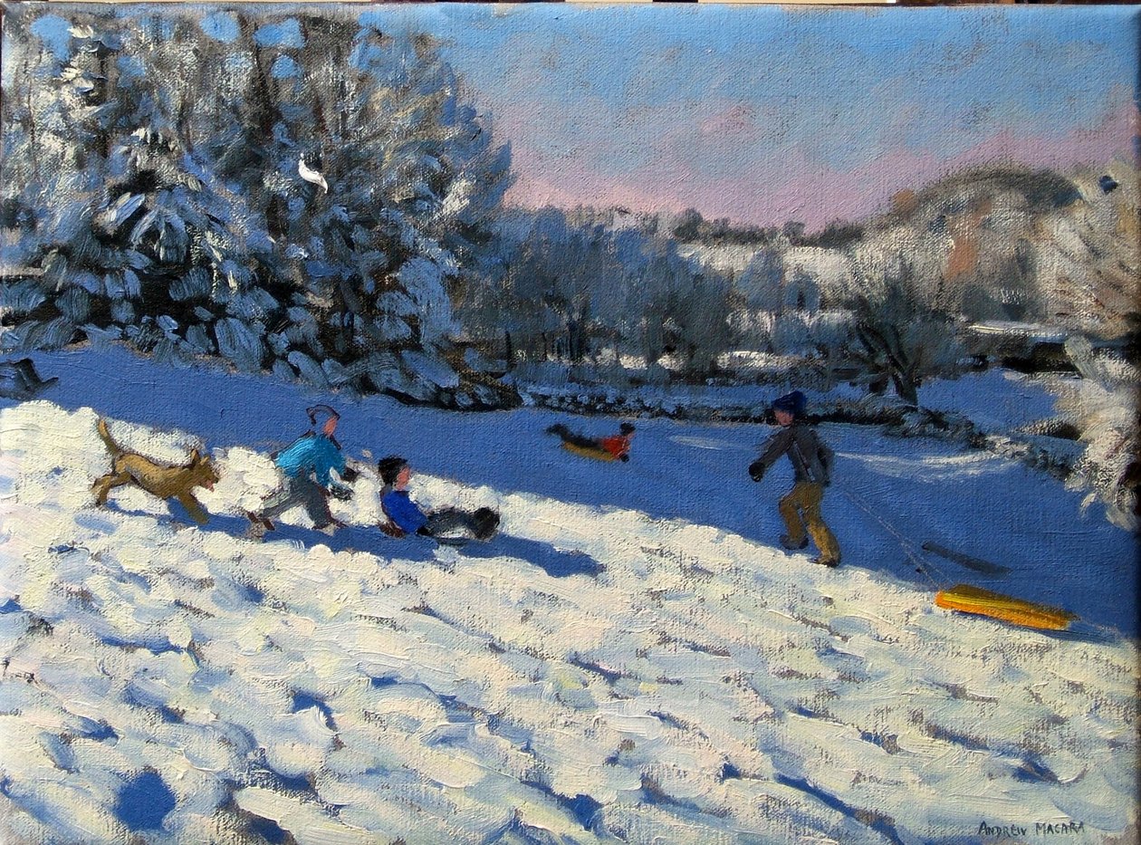 雪橇在德比郡的Youlgreave附近 作者 安德鲁·马卡拉（Andrew Macara）