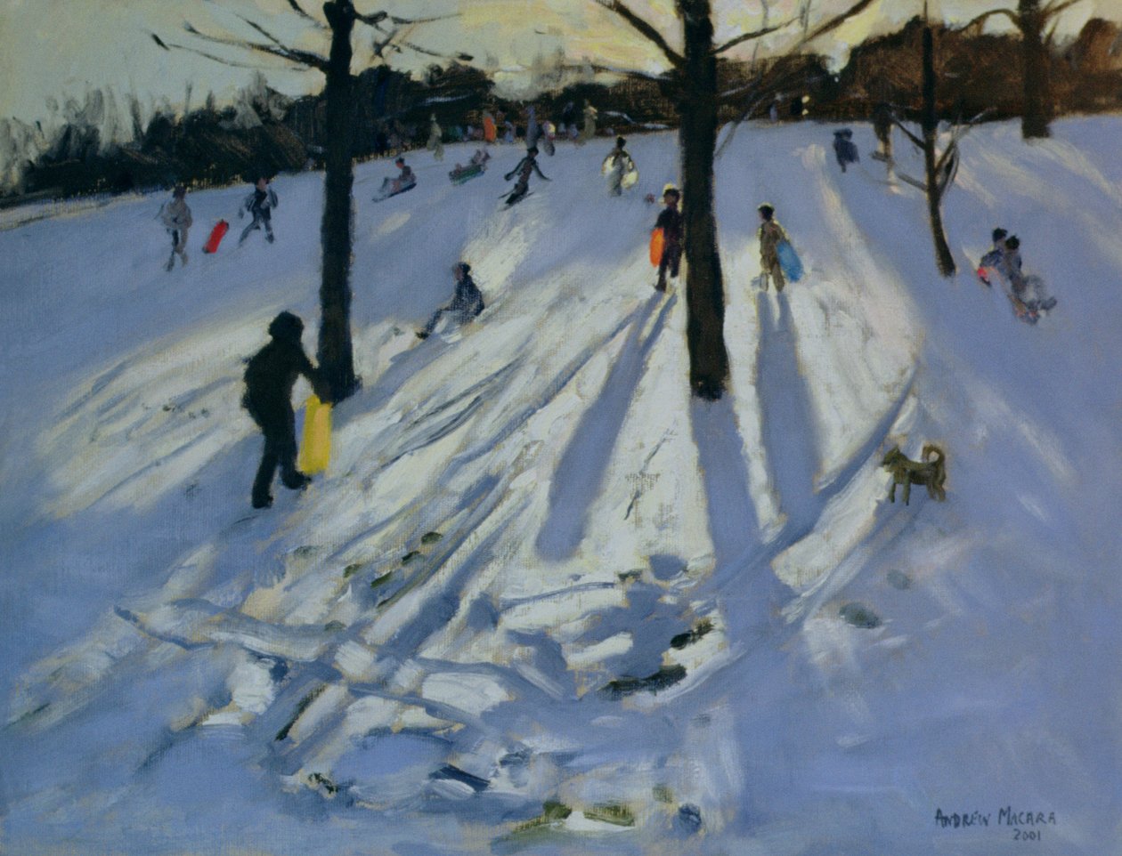 Snow，Rykneld Park，Derby，2001 作者 安德鲁·马卡拉（Andrew Macara）