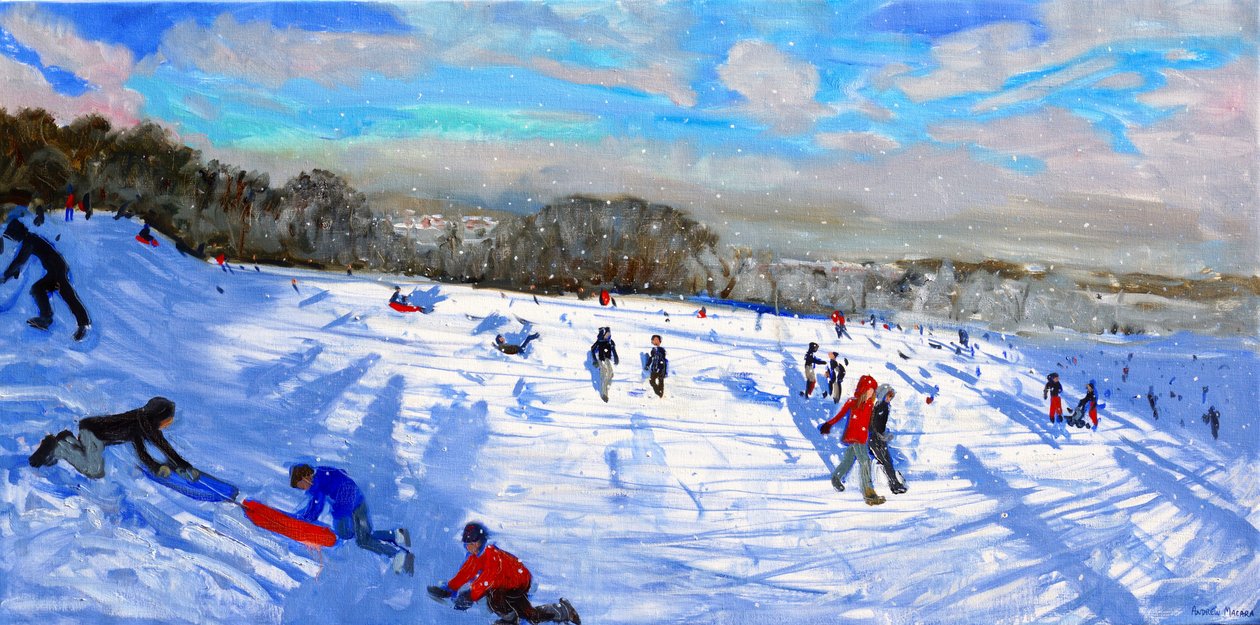 Snow flurries，Allestree Park，Derby。 作者 安德鲁·马卡拉（Andrew Macara）