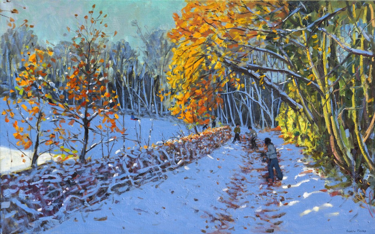 Snowballing，Allestree公园，德比，2014年 作者 安德鲁·马卡拉（Andrew Macara）