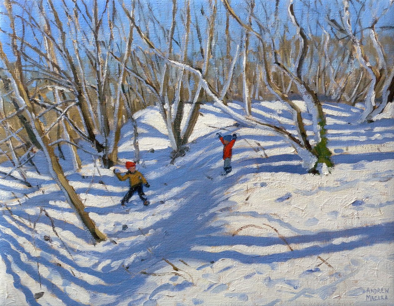 Spring Snow，Newhaven Derbyshire，2008 作者 安德鲁·马卡拉（Andrew Macara）