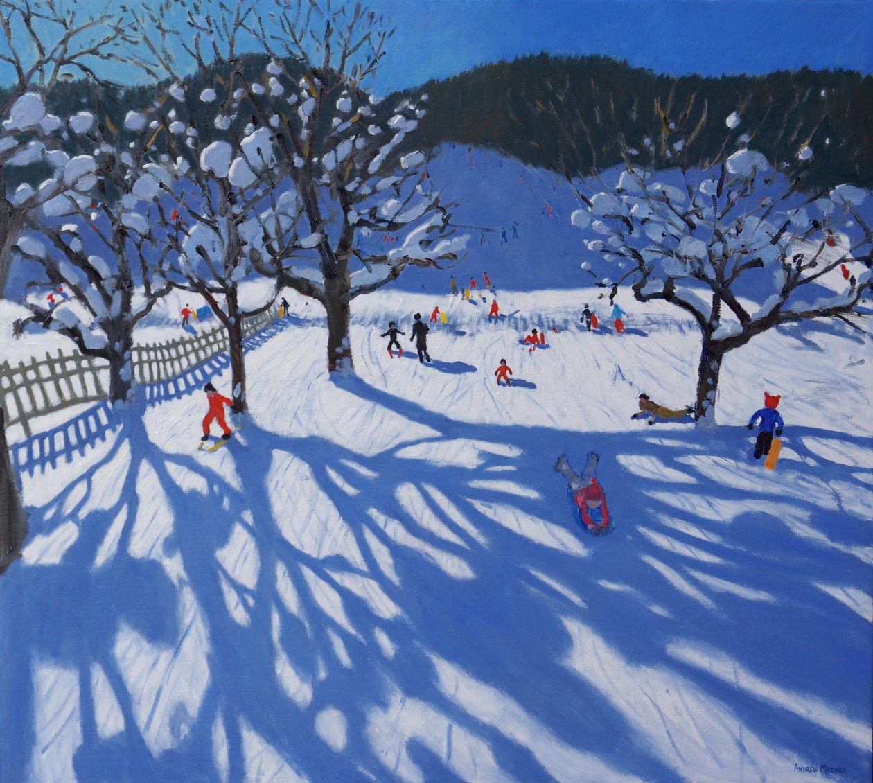 冬天的果园，Morzine， 作者 安德鲁·马卡拉（Andrew Macara）