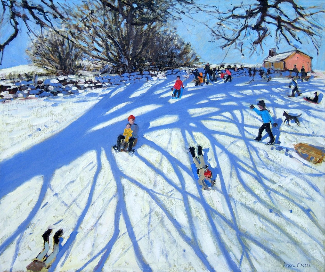 影子，德比郡 作者 安德鲁·马卡拉（Andrew Macara）