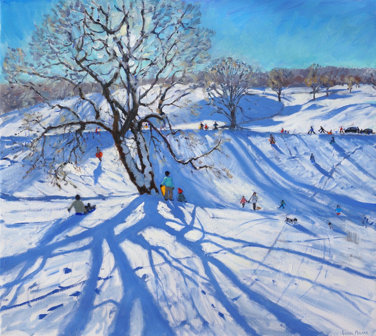 Tobogganers，Chatsworth，2012 作者 安德鲁·马卡拉（Andrew Macara）
