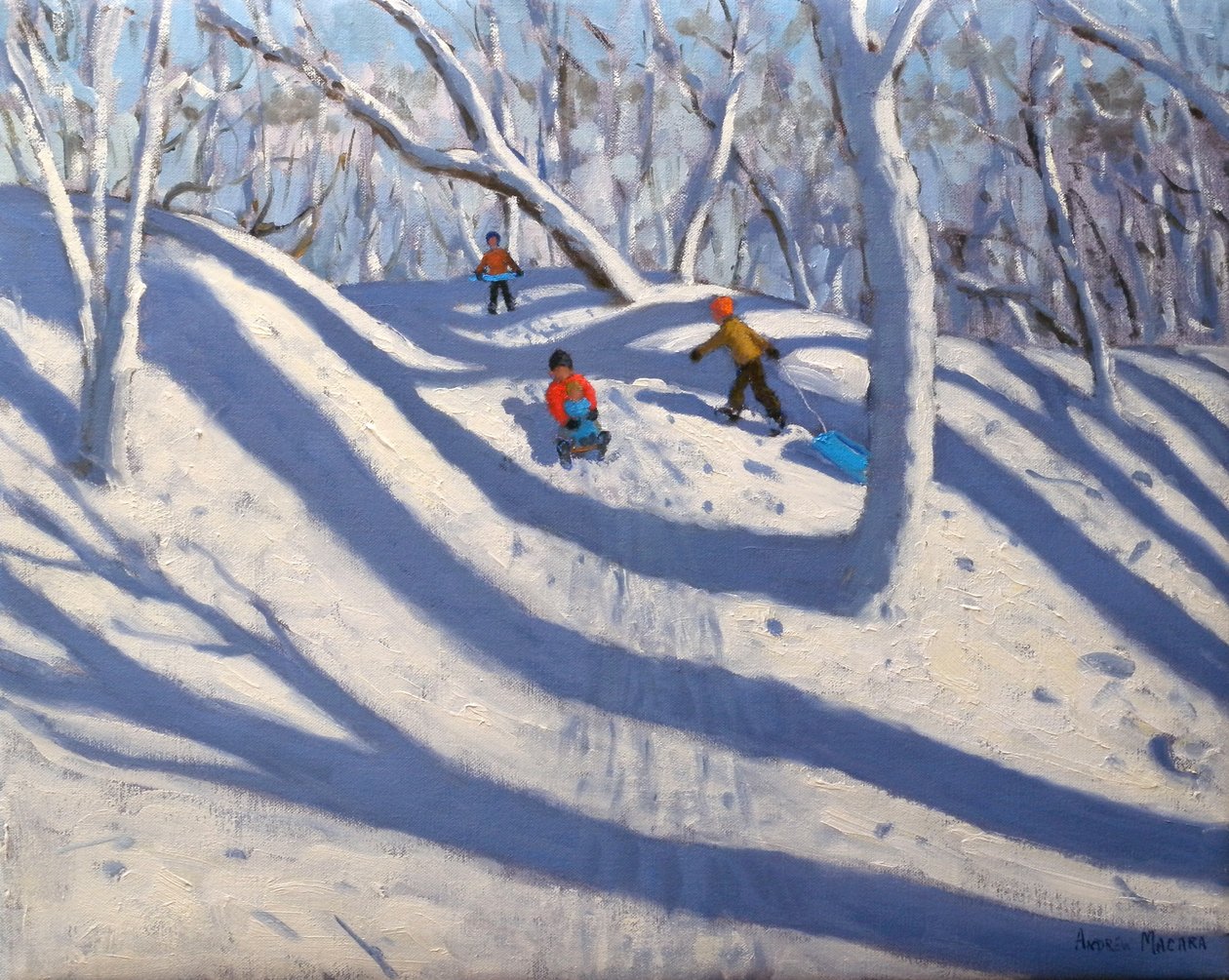 冬季Bramcote诺丁汉，2008年 作者 安德鲁·马卡拉（Andrew Macara）