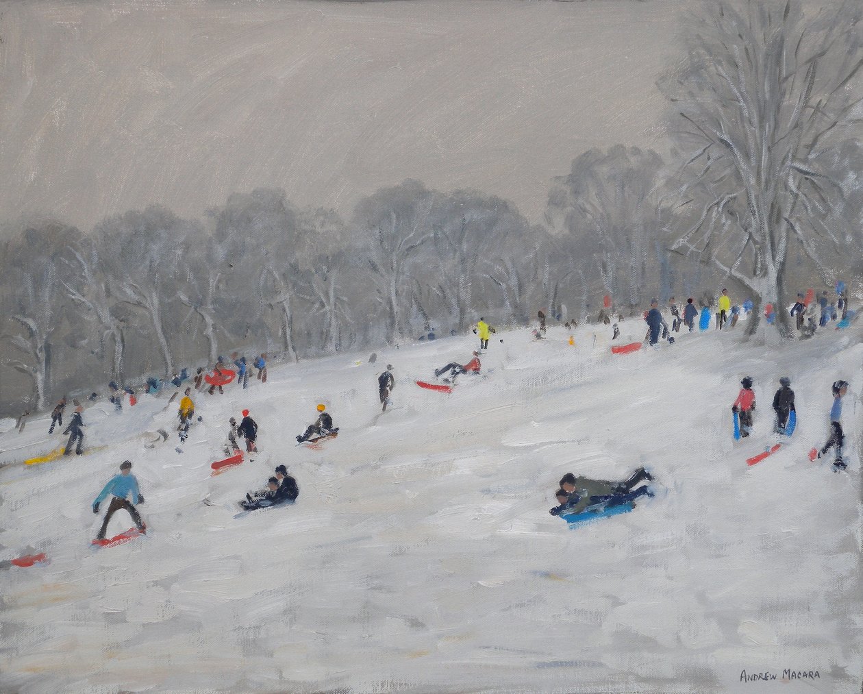 冬天，达利公园，2009年 作者 安德鲁·马卡拉（Andrew Macara）