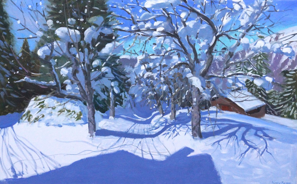 冬季果园，Morzine，2015， 作者 安德鲁·马卡拉（Andrew Macara）