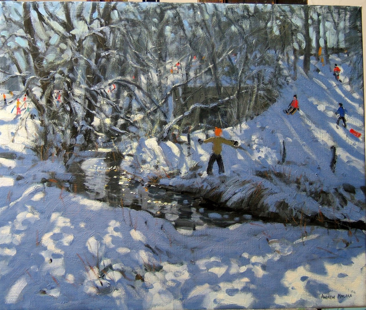 冬季溪流，德比郡 作者 安德鲁·马卡拉（Andrew Macara）
