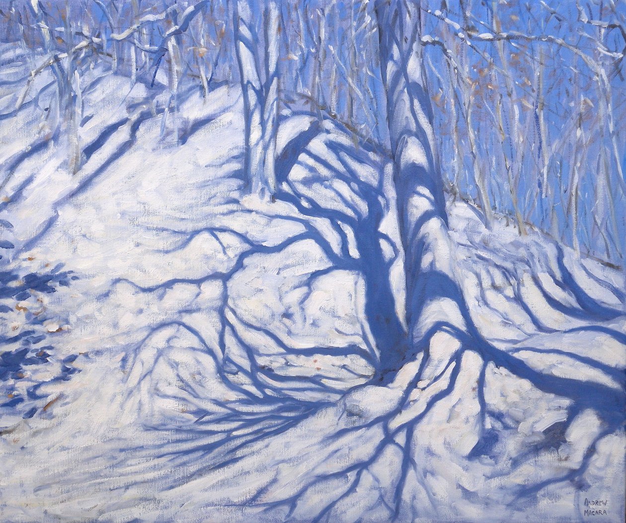冬季林地，靠近高卢瓦尔，2008年 作者 安德鲁·马卡拉（Andrew Macara）