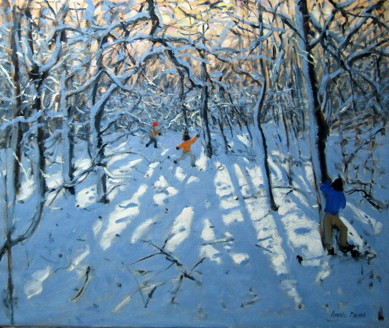 冬天森林地，在纽黑文附近，德比郡 作者 安德鲁·马卡拉（Andrew Macara）