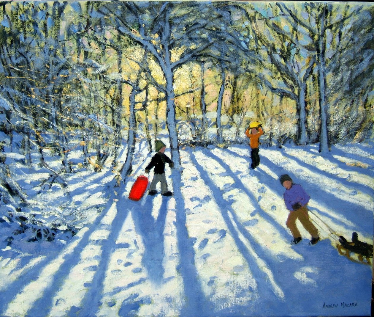 森林地在冬天，在阿什伯恩附近，德比郡 作者 安德鲁·马卡拉（Andrew Macara）