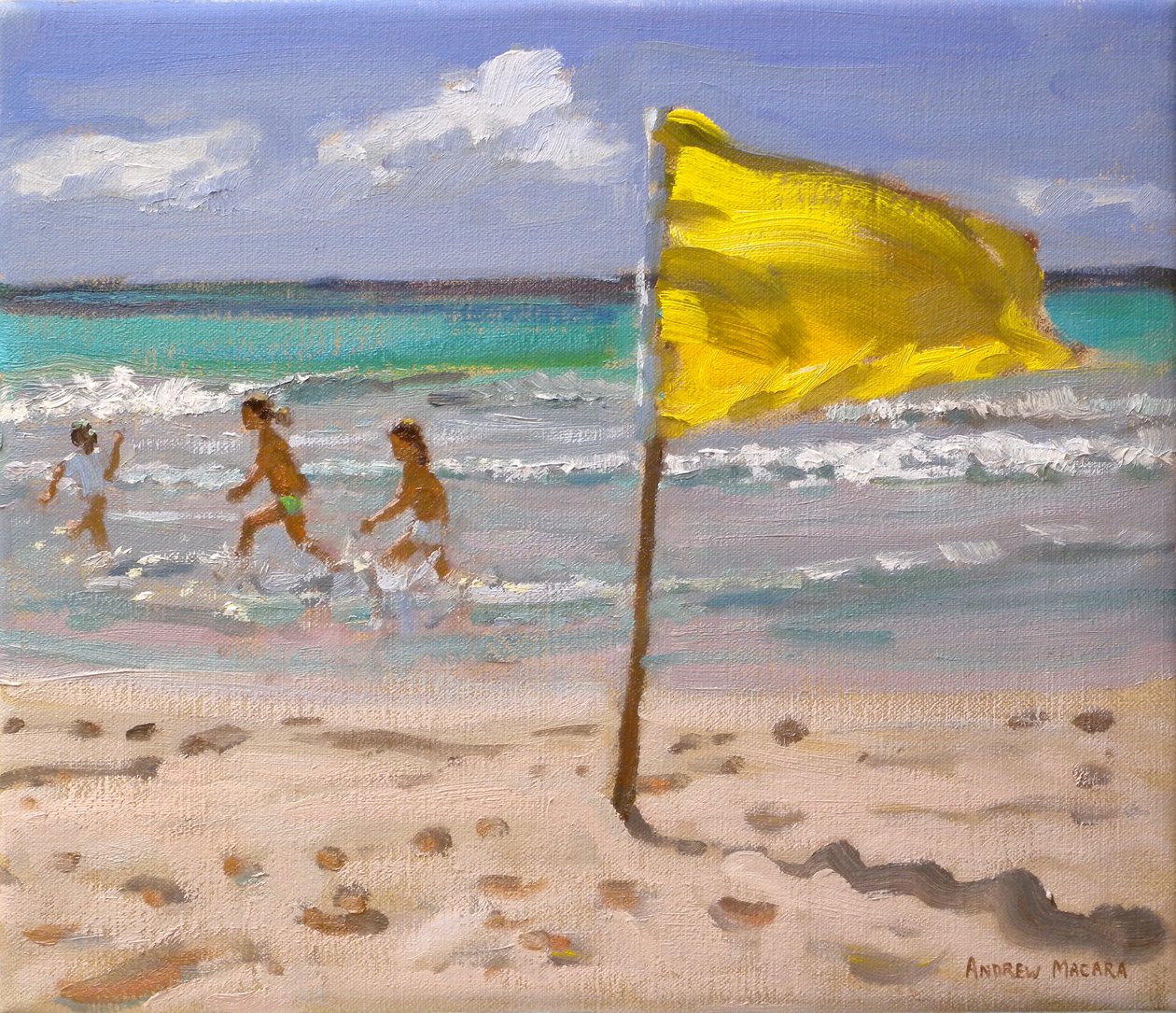 黄旗，巴巴多斯，2010年 作者 安德鲁·马卡拉（Andrew Macara）