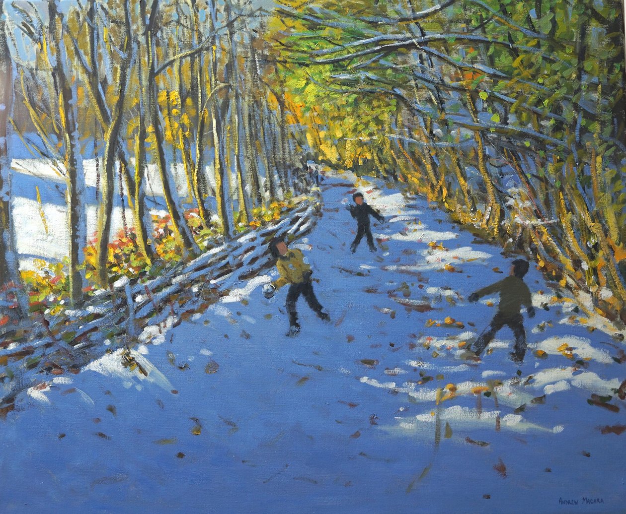 黄色树，Allestree公园，2012年 作者 安德鲁·马卡拉（Andrew Macara）