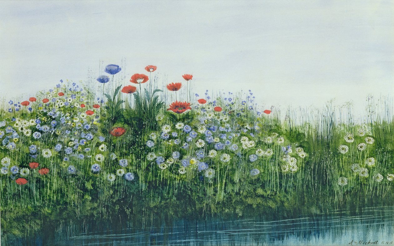 罂粟花流 作者 安德鲁·尼科尔