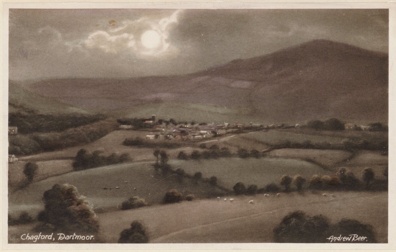  作者 安德鲁·比尔