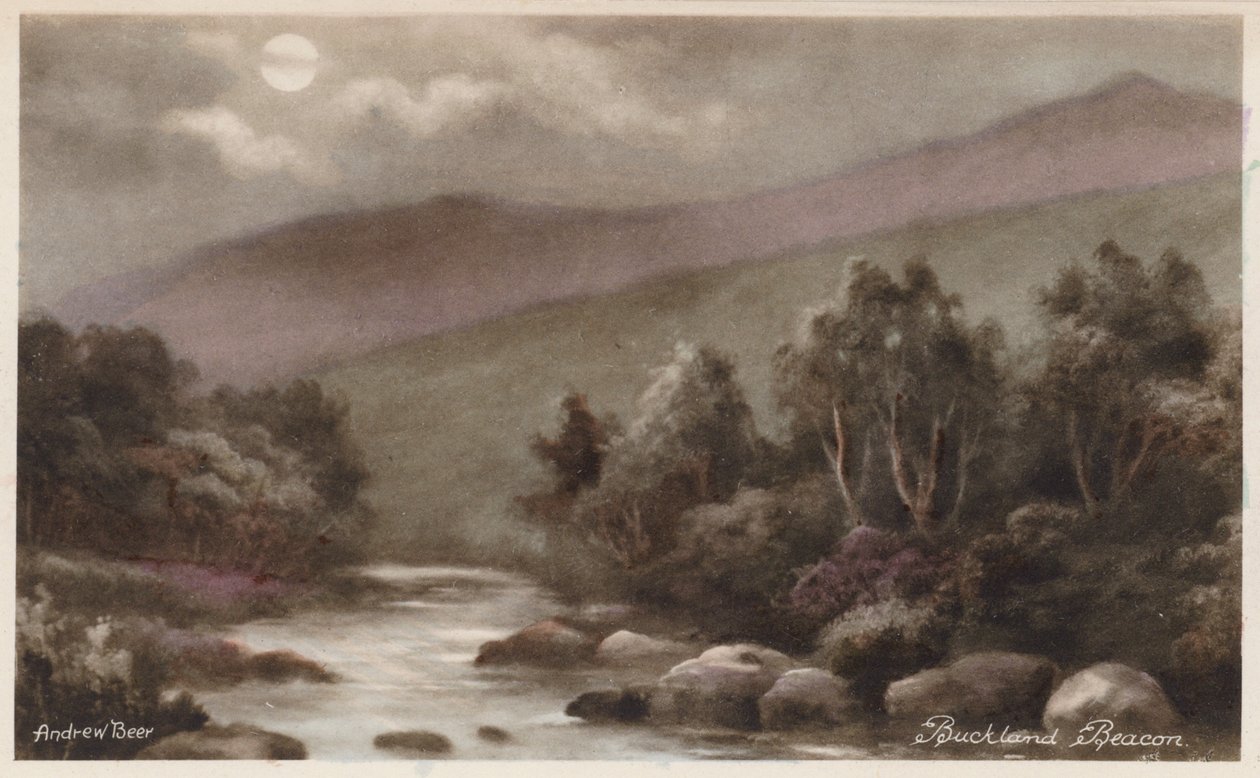  作者 安德鲁·比尔