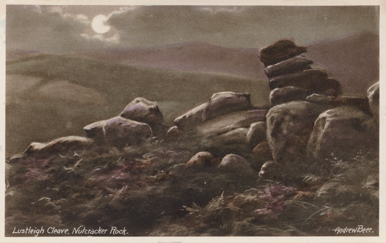  作者 安德鲁·比尔