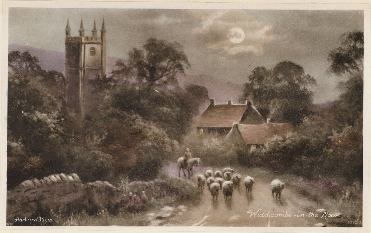  作者 安德鲁·比尔