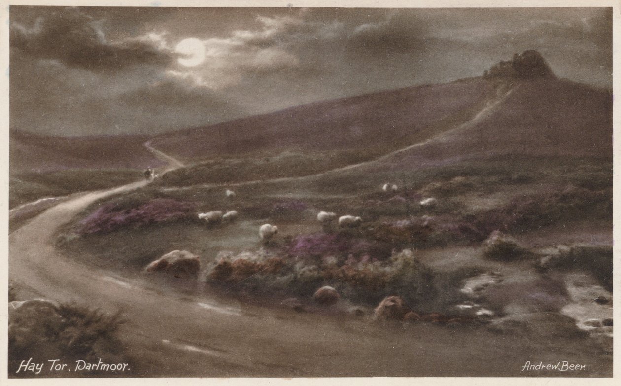  作者 安德鲁·比尔