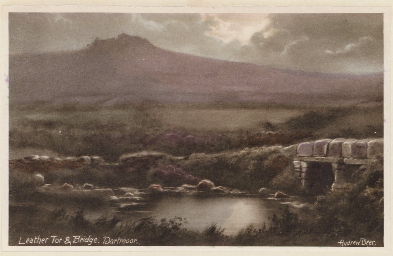  作者 安德鲁·比尔