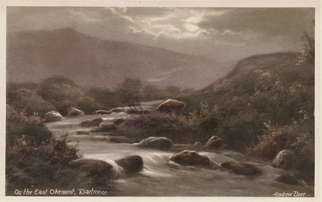  作者 安德鲁·比尔