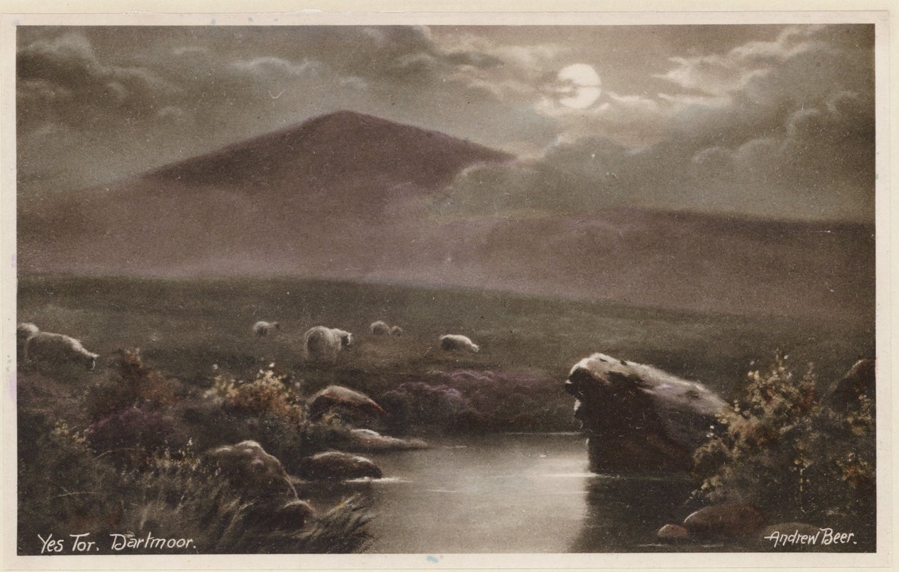  作者 安德鲁·比尔