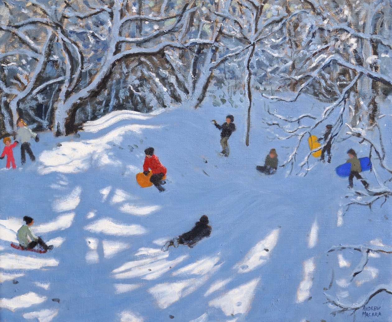 圣诞节，Allestree Woods，德比，2017， 作者 安德鲁·马卡拉（Andrew Macara）