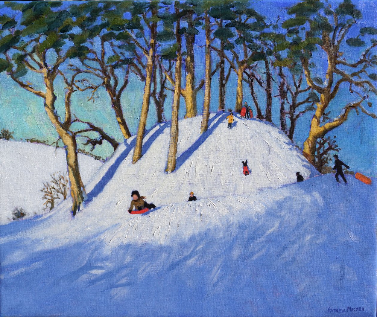 圣诞雪橇 作者 安德鲁·马卡拉（Andrew Macara）