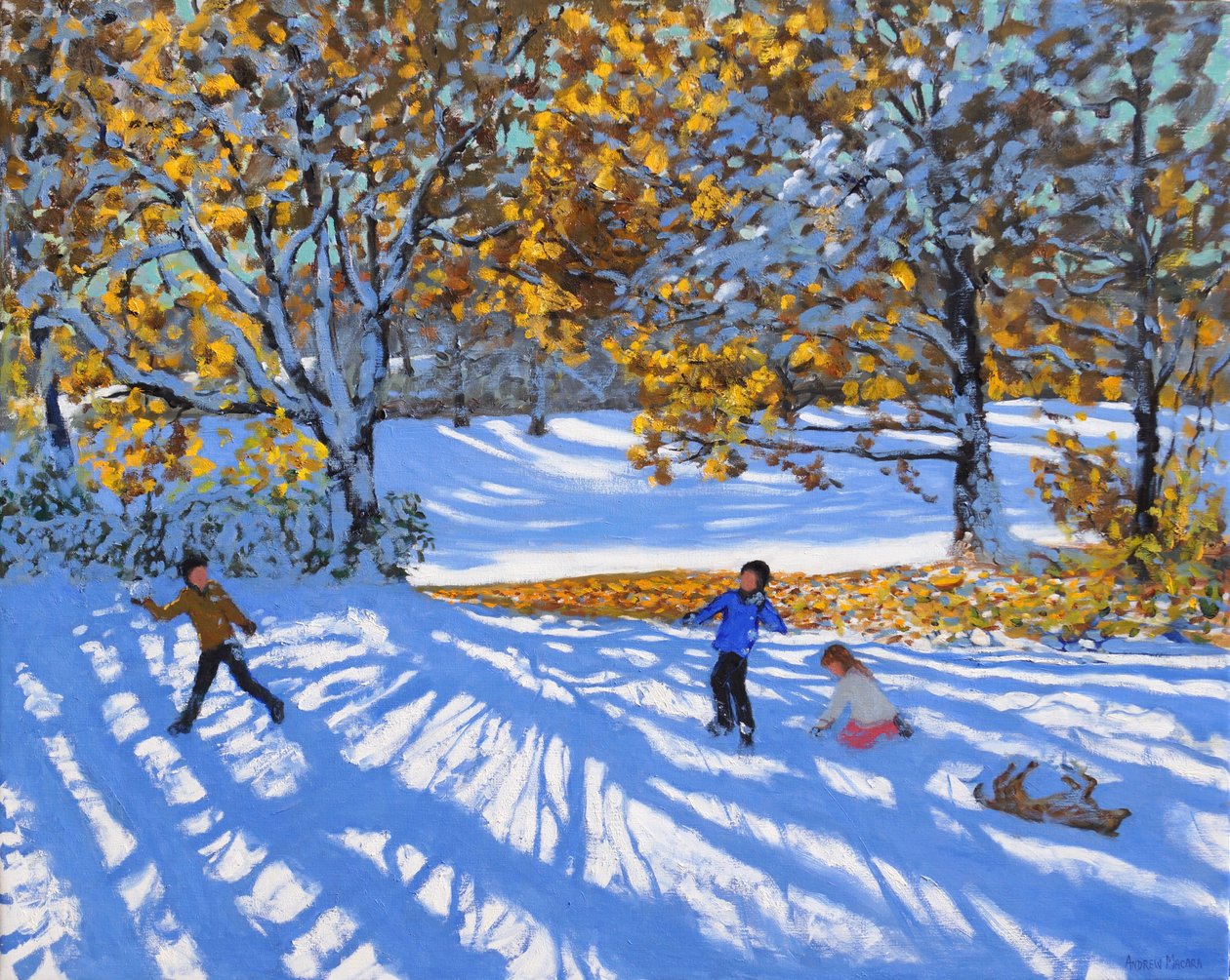 早起的雪，Allestree公园。 2017年， 作者 安德鲁·马卡拉（Andrew Macara）
