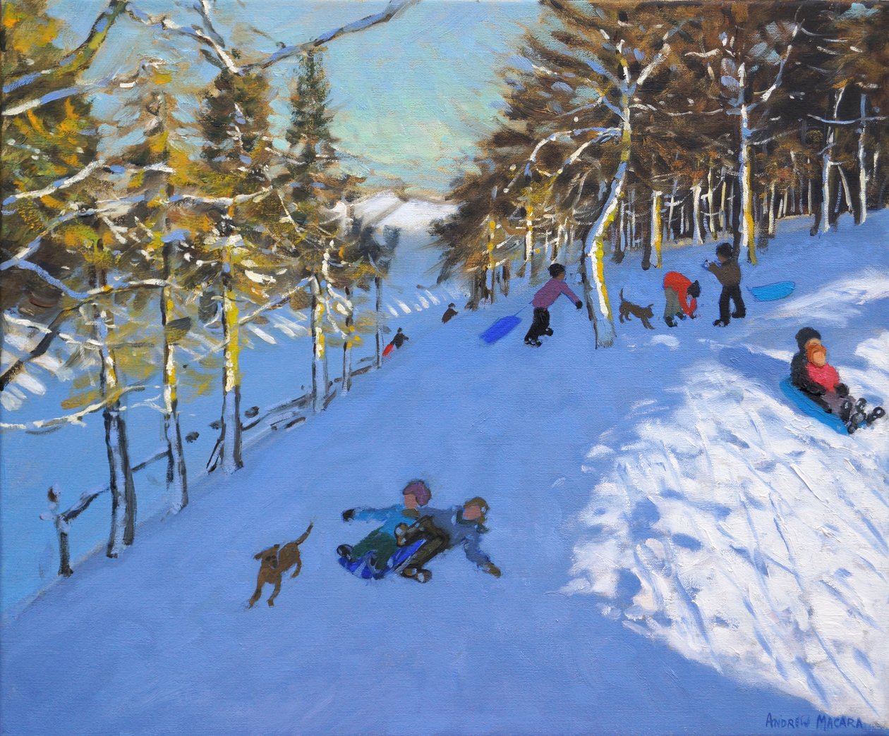 家庭雪橇，Youlgreave，德比郡。 2016年， 作者 安德鲁·马卡拉（Andrew Macara）