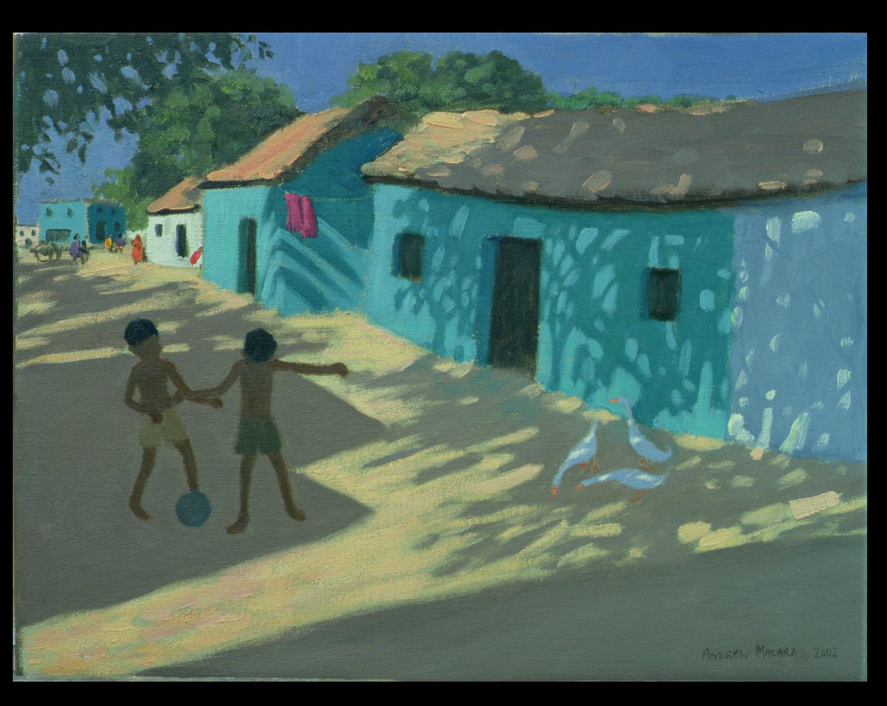 温室，印度 作者 安德鲁·马卡拉（Andrew Macara）