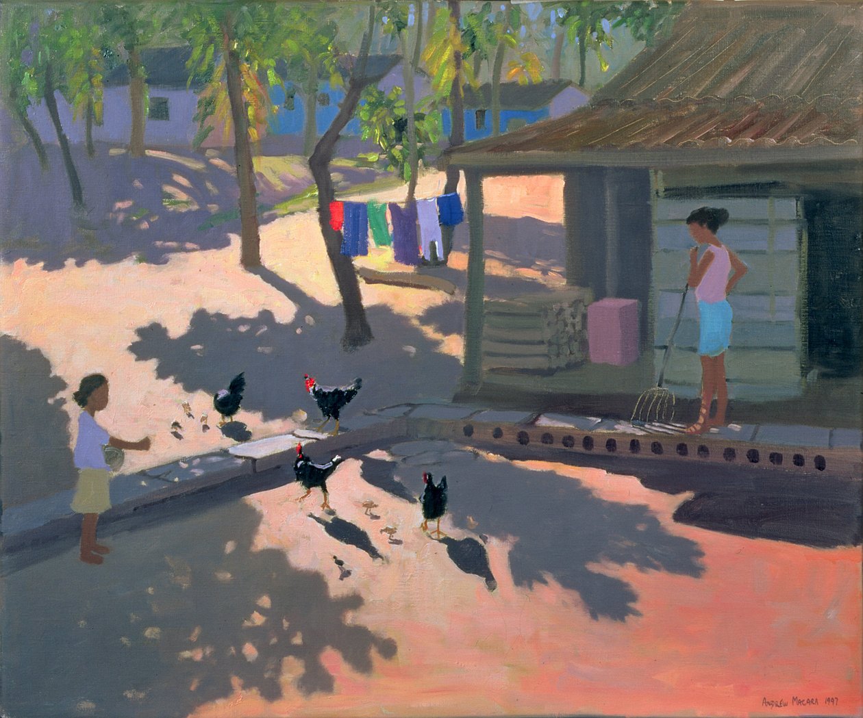 Hens和Chickens，古巴，1997年 作者 安德鲁·马卡拉（Andrew Macara）