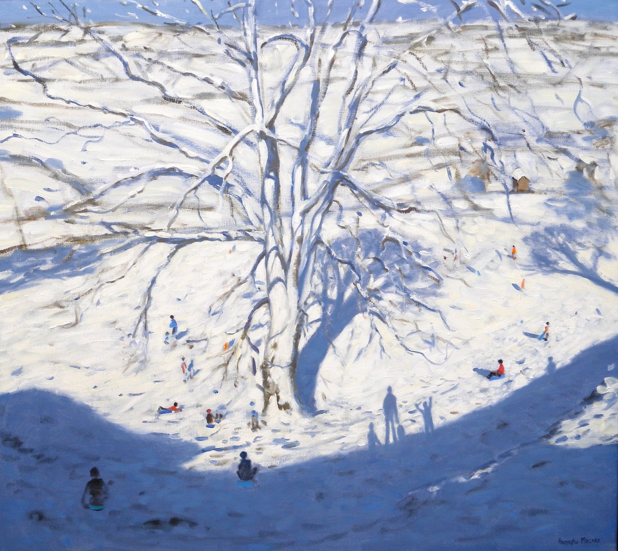 山坡，埃尔顿在罗斯利附近，2008年 作者 安德鲁·马卡拉（Andrew Macara）