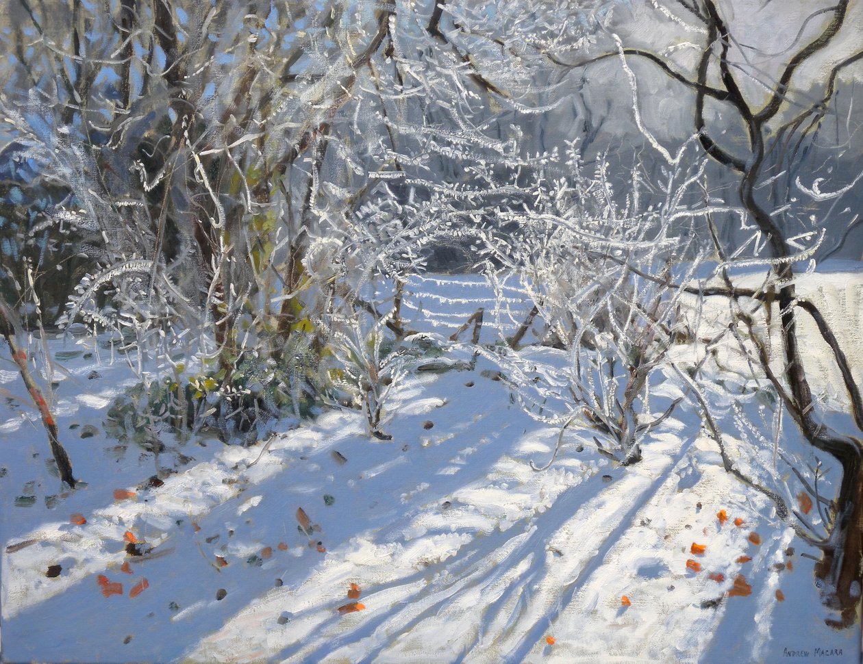 白霜，2011年 作者 安德鲁·马卡拉（Andrew Macara）