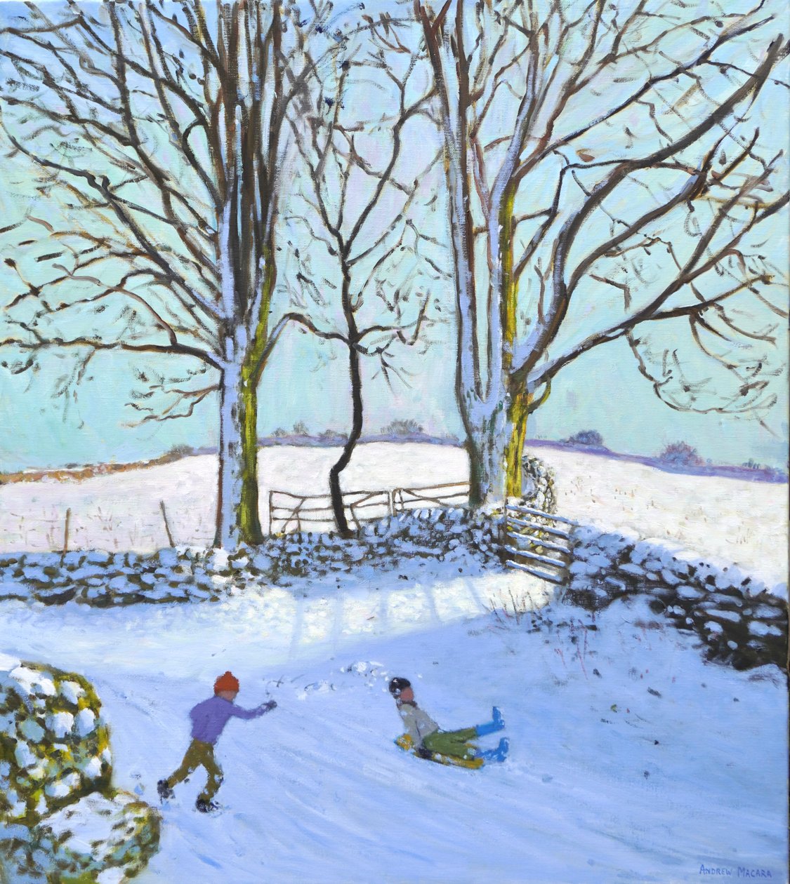 大树和雪橇，德比郡，2023 年（布面油画） 作者 安德鲁·马卡拉（Andrew Macara）