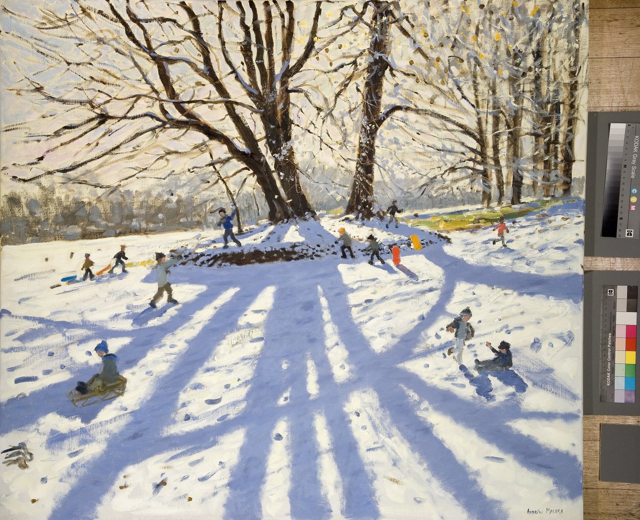 德比郡Lomberdale Hall 作者 安德鲁·马卡拉（Andrew Macara）