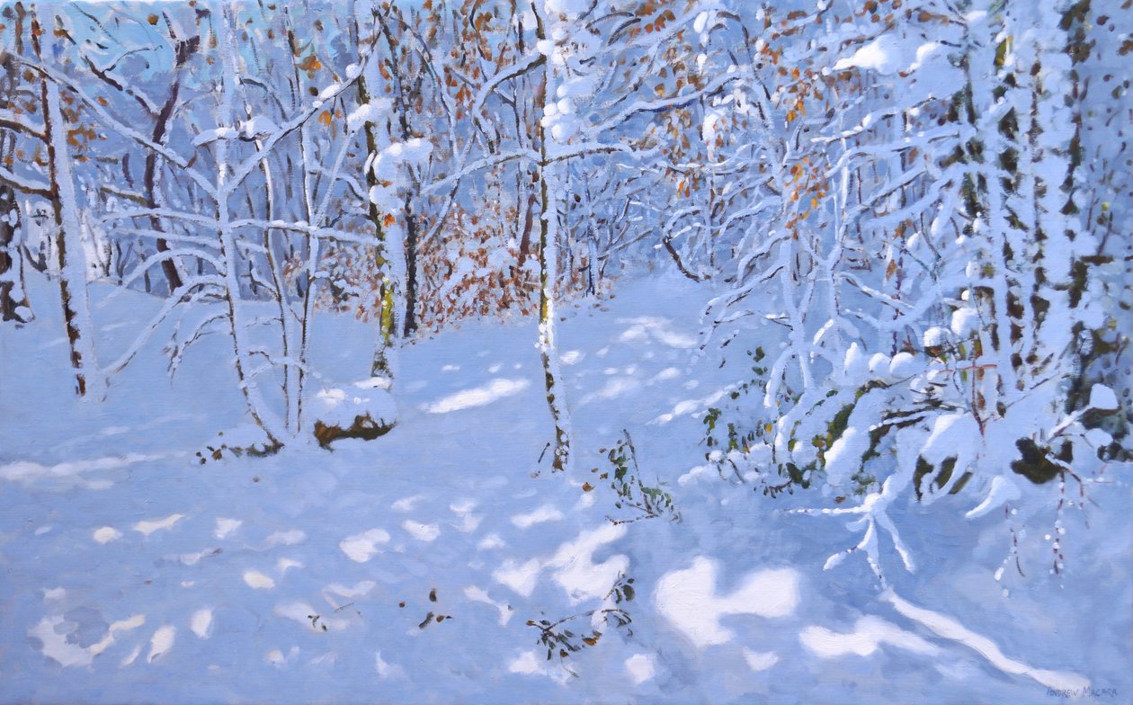 November Snow,Allestree Woods,Derby,(oil on canvas) 作者 安德鲁·马卡拉（Andrew Macara）