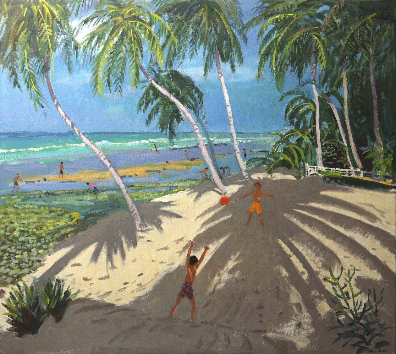 棕榈树，Clovelly海滩，巴巴多斯，2013， 作者 安德鲁·马卡拉（Andrew Macara）