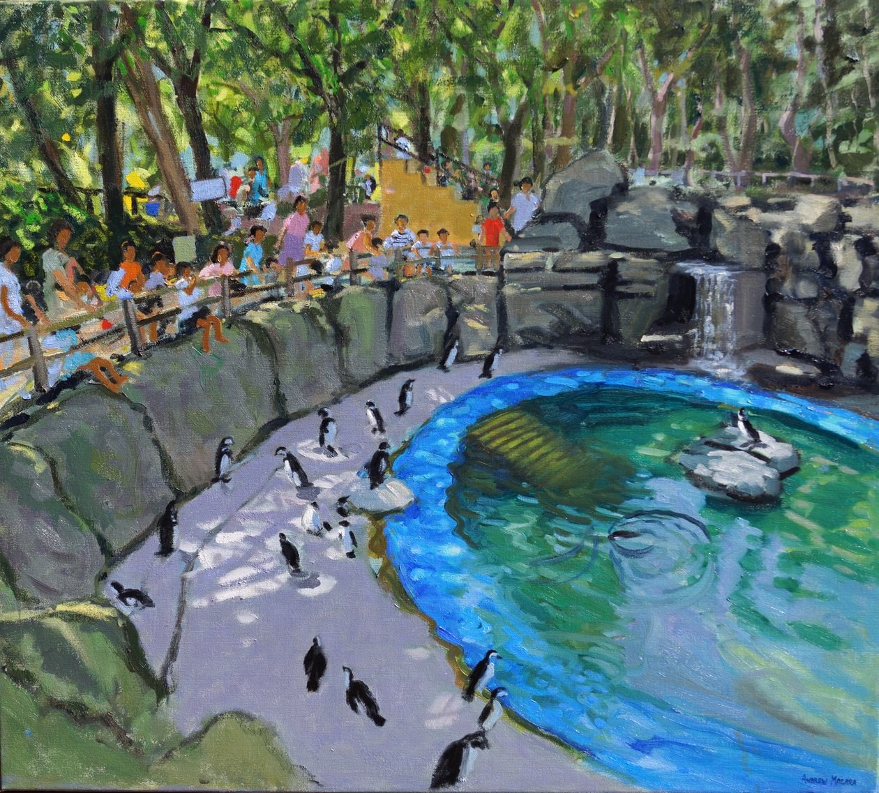 企鹅池，马德里动物园。 2015年 作者 安德鲁·马卡拉（Andrew Macara）