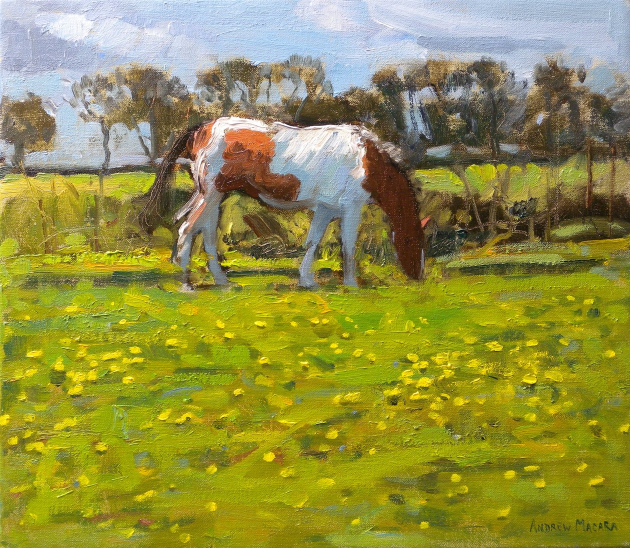 花斑马，2010（布面油画） 作者 安德鲁·马卡拉（Andrew Macara）